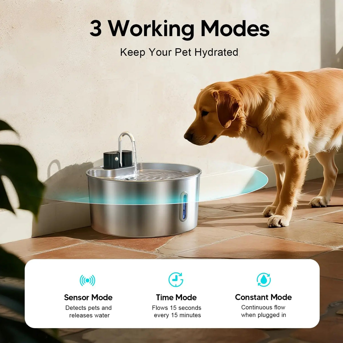 Wireless Doggy Fountain™
