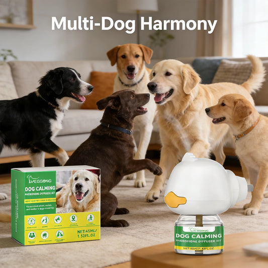Dog Calming Diffuser Kit