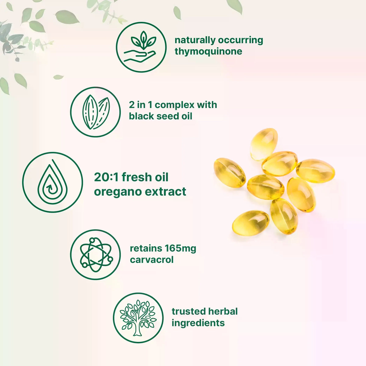 Oregano Oil with Black Seed Oil Softgels